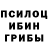 Галлюциногенные грибы прущие грибы Alex Korbut