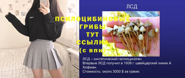 ГАЛЛЮЦИНОГЕННЫЕ ГРИБЫ Алексин