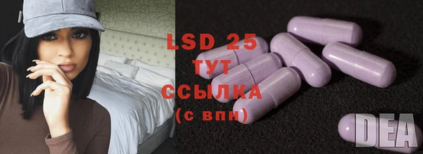 мяу мяу мука Алзамай