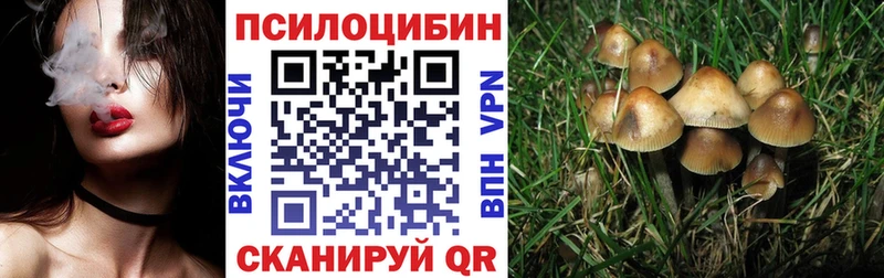 даркнет сайт Чехов Псилоцибиновые грибы Cubensis